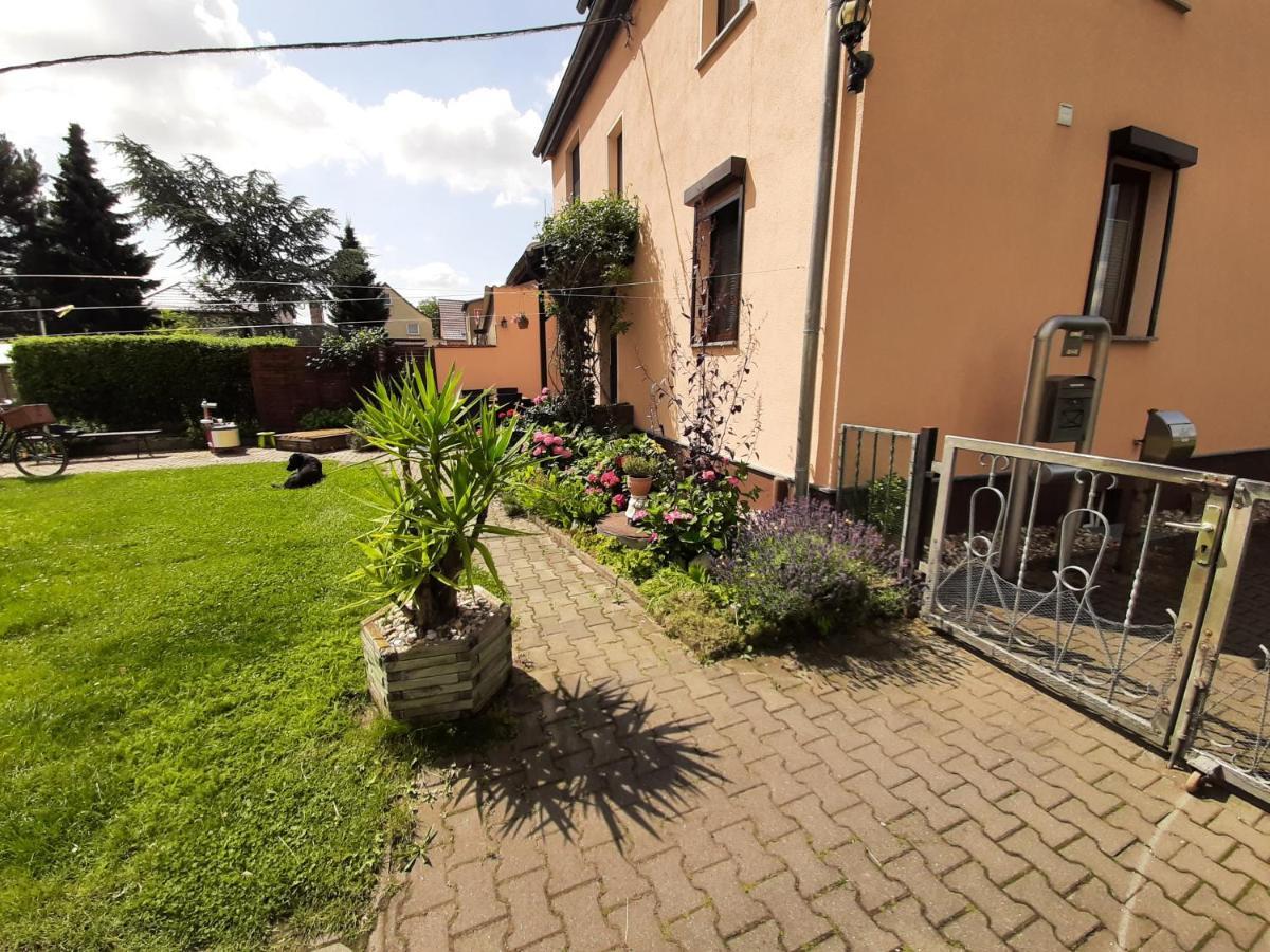 Ferienwohnung Am Park Pegau ภายนอก รูปภาพ